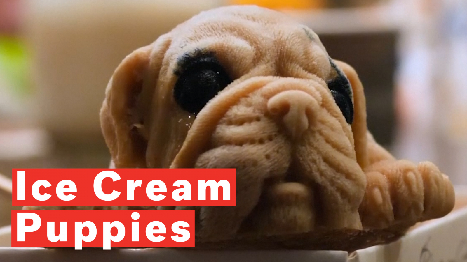 Bullmastiff Puppies For Sale Craigslist - PetsWall